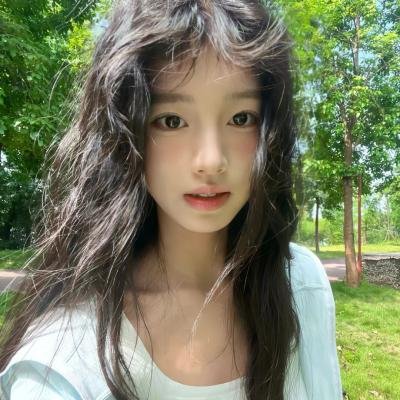 高丽葬海报